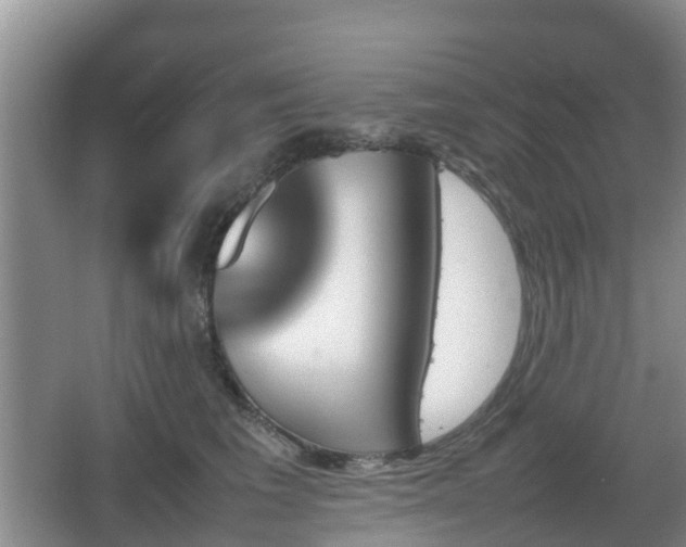 X0000067890613200604171339