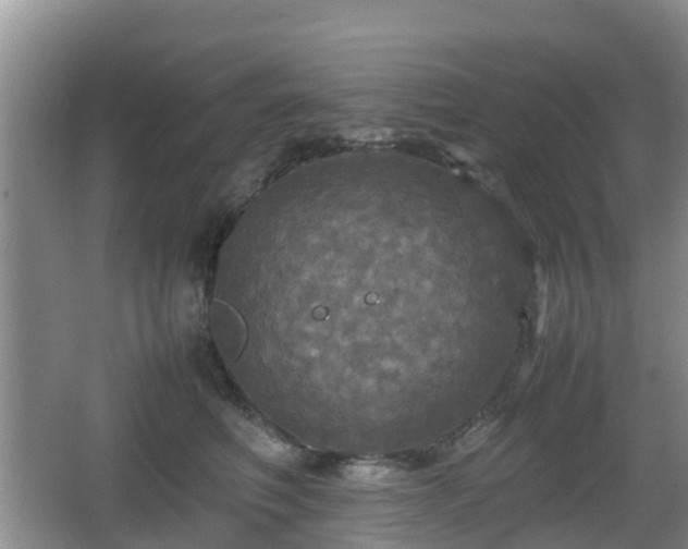 X0000067890614200604171339