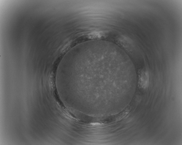 X0000067890616200604171339