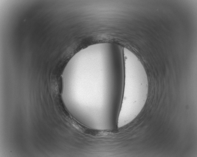 X0000067890617200604171339