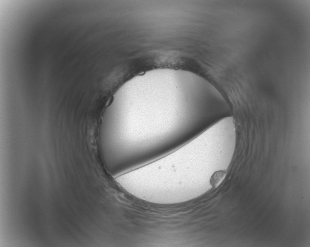 X0000067890619200604171339