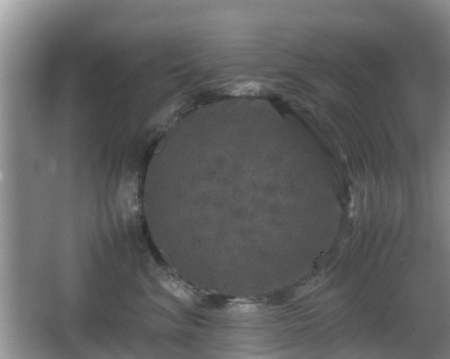 X0000067890620200604171339