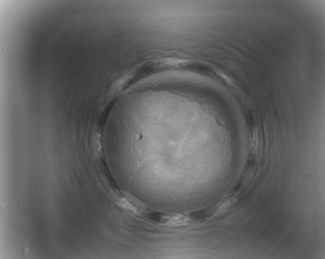 X0000067890621200604171339