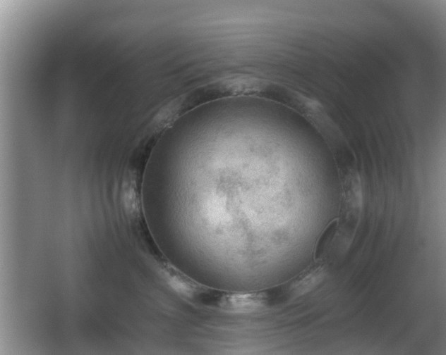 X0000067890622200604171339