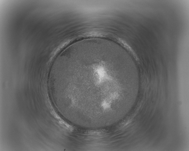 X0000067890625200604171338