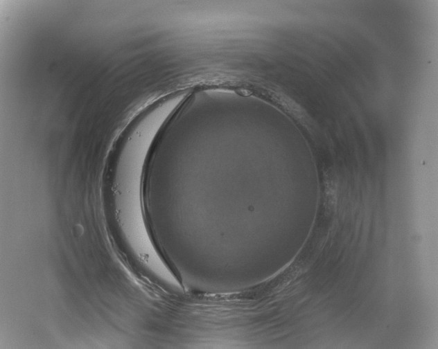 X0000067890626200604171338