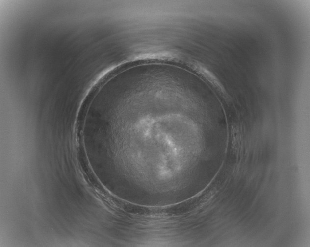 X0000067890628200604171338