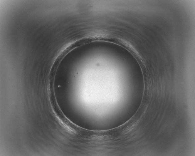 X0000067890629200604171338