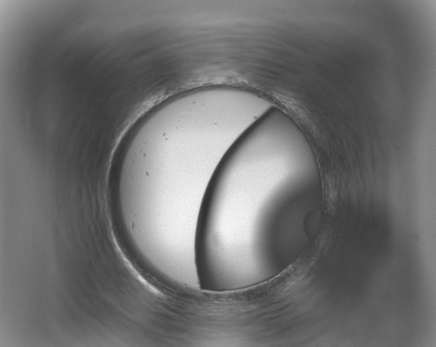 X0000067890630200604171338