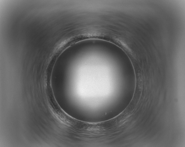 X0000067890631200604171338