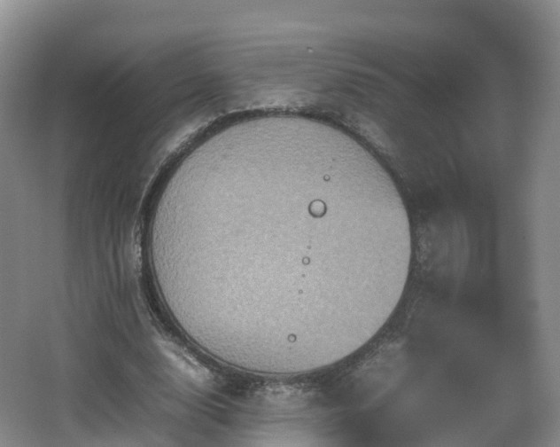 X0000067890632200604171338