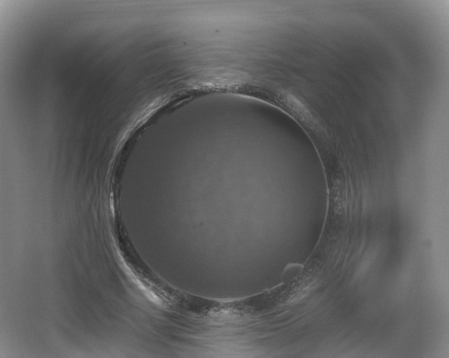 X0000067890634200604171338