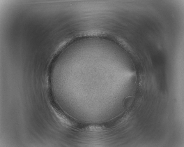 X0000067890636200604171338