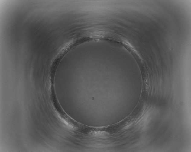 X0000067890637200604171338