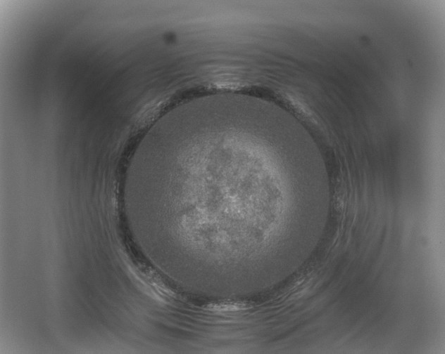 X0000067890639200604171338