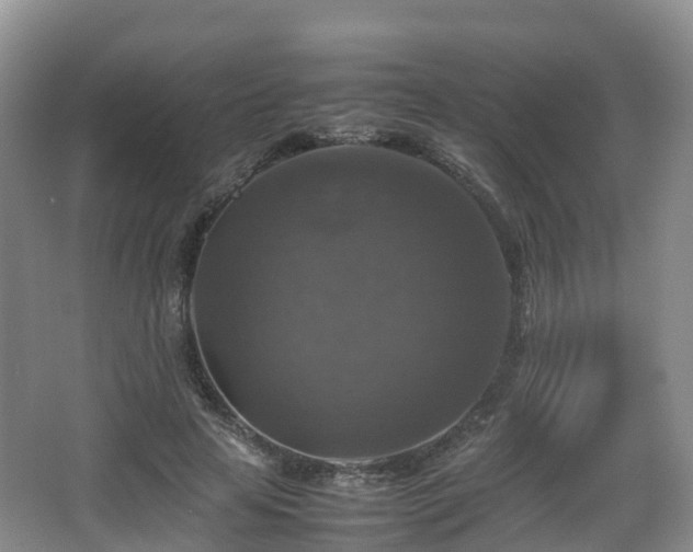 X0000067890641200604171338