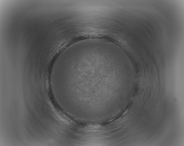 X0000067890642200604171338