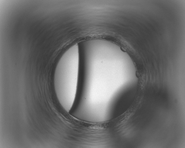 X0000067890644200604171338