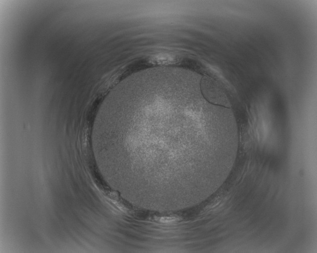 X0000067890645200604171338