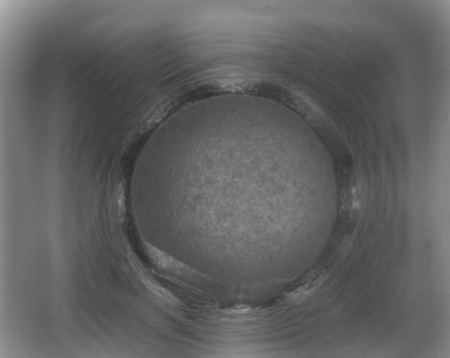 X0000067890646200604171338