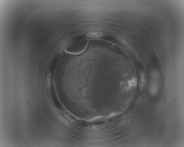 X0000067890647200604171338