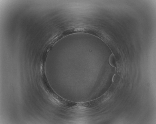 X0000067890648200604171338