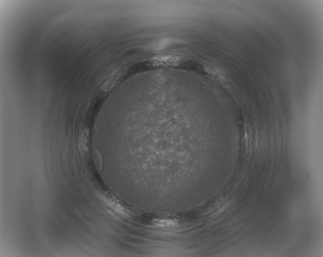 X0000067890649200604171338