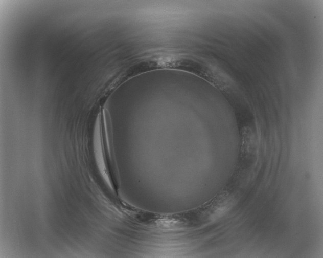 X0000067890650200604171338