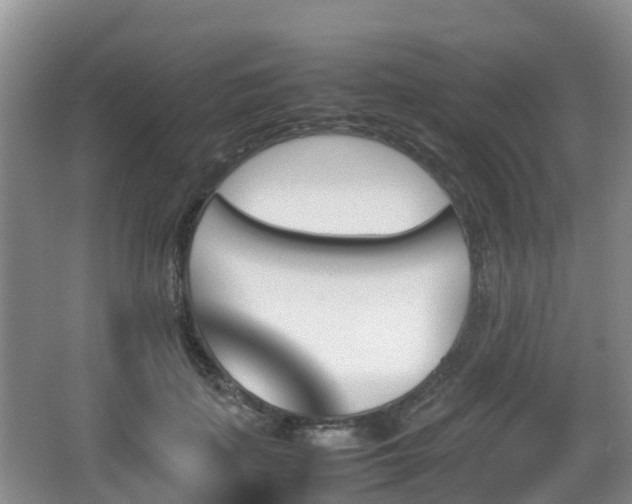 X0000067890651200604171338