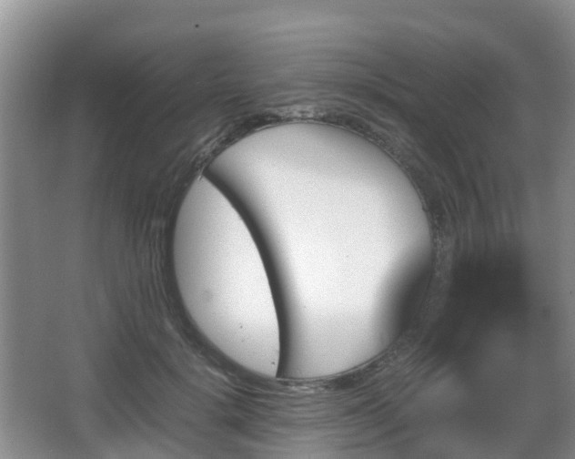 X0000067890652200604171338