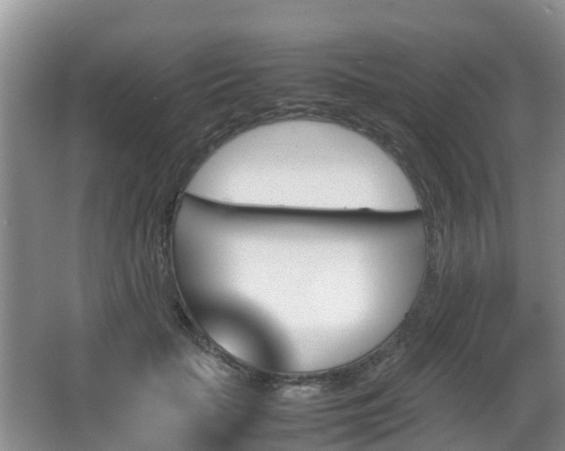 X0000067890653200604171338