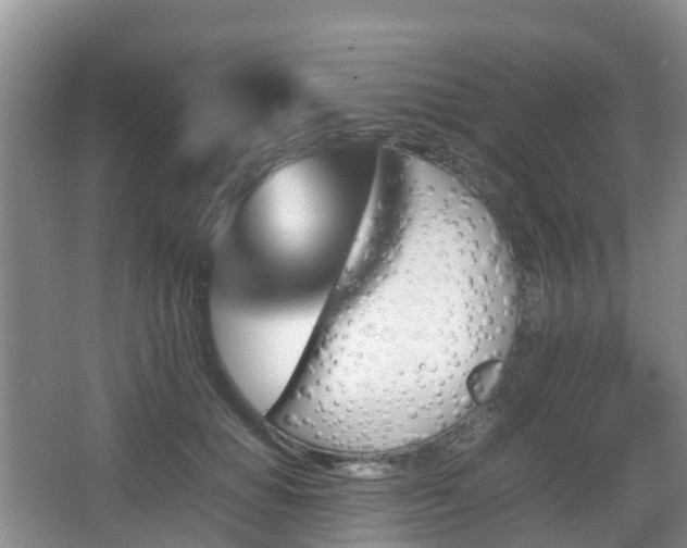 X0000067890654200604171338