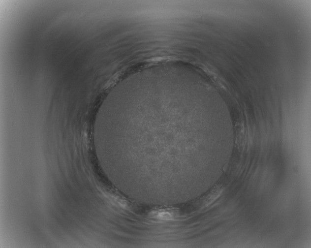 X0000067890655200604171338