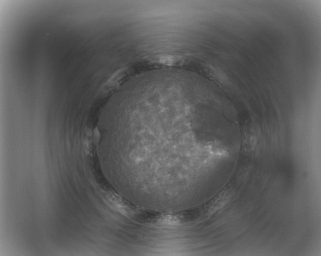 X0000067890656200604171338