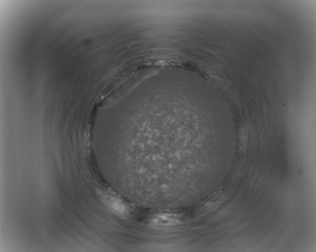 X0000067890657200604171338