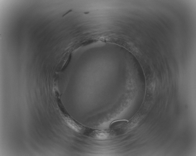 X0000067890658200604171338