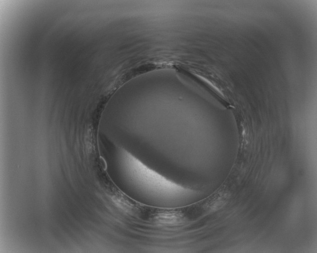 X0000067890659200604171338