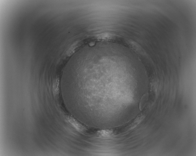 X0000067890660200604171338