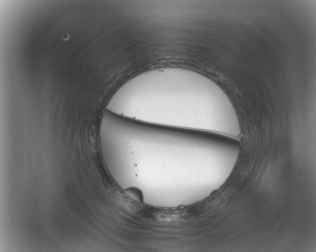 X0000067890661200604171338