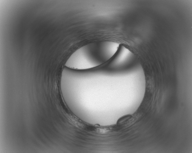 X0000067890662200604171338