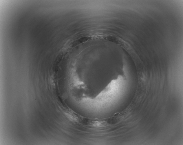 X0000067890663200604171338