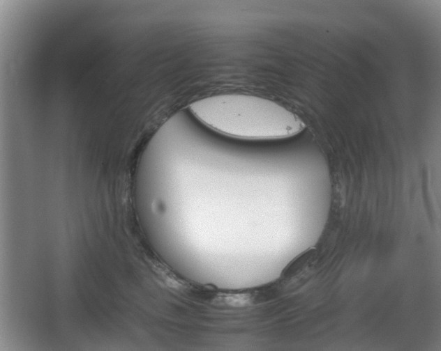 X0000067890665200604171338