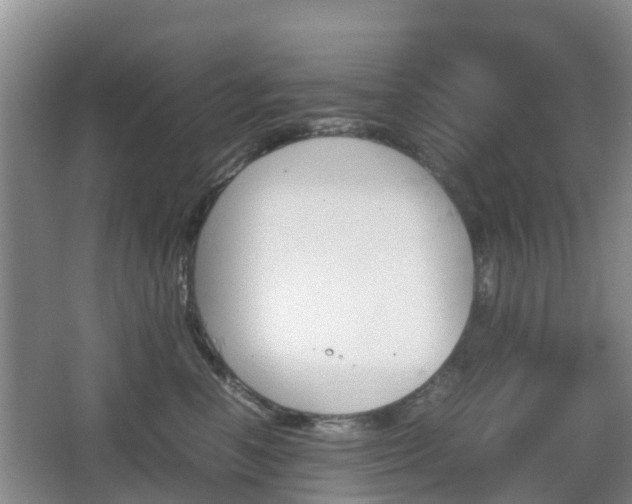 X0000067890666200604171338