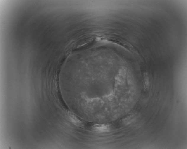 X0000067890667200604171338