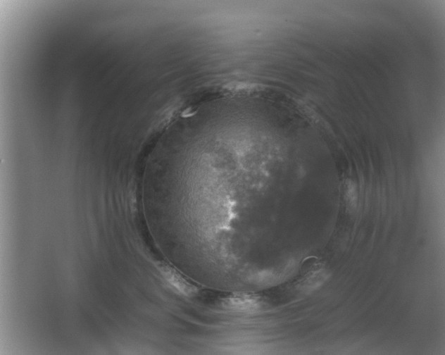 X0000067890668200604171338