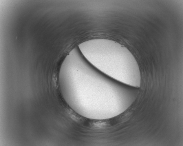 X0000067890669200604171338