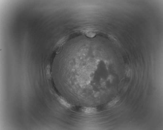 X0000067890670200604171338