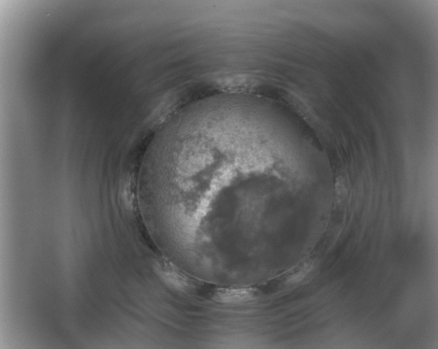 X0000067890671200604171338