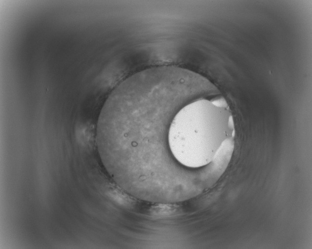 X0000067890672200604171338