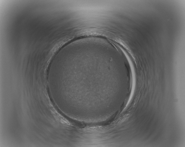 X0000067890673200604171338